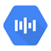 SPEECJ-GOOGLE SPEECH-GOOGLE